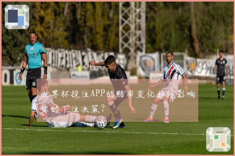 世界杯投注APP的赔率变化如何影响你的下注决策？