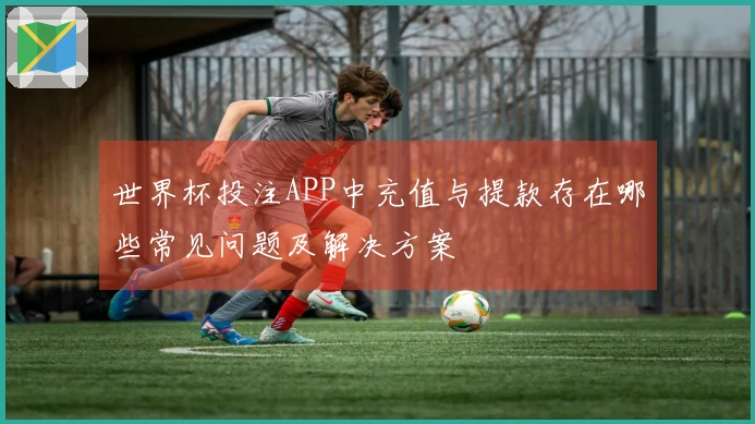 世界杯投注APP中充值与提款存在哪些常见问题及解决方案