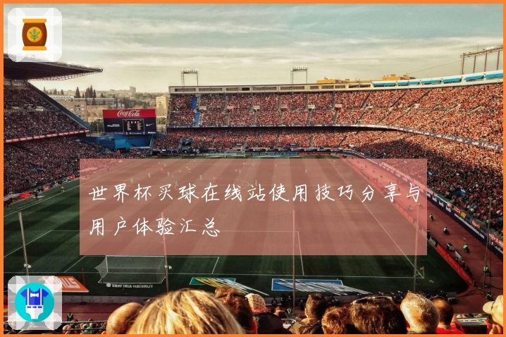 世界杯买球在线站使用技巧分享与用户体验汇总