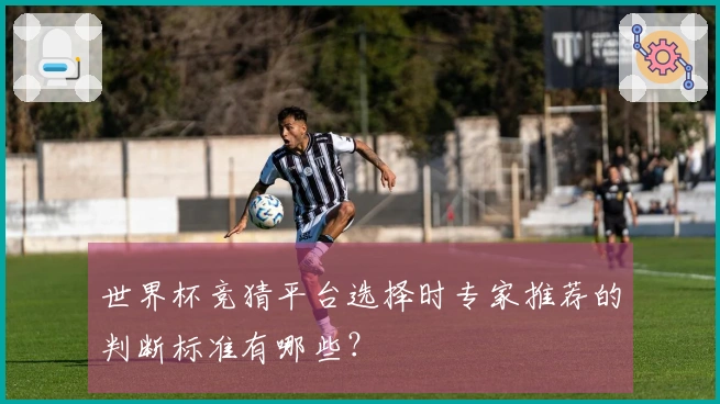 世界杯竞猜平台选择时专家推荐的判断标准有哪些？