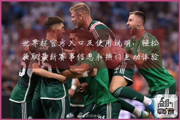 世界杯官方入口及使用说明，轻松获取最新赛事信息和热门互动体验