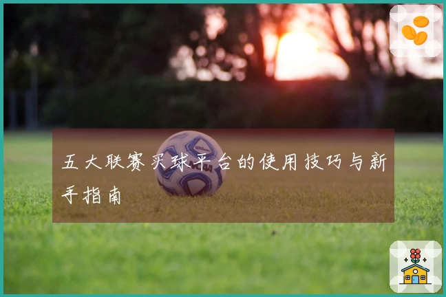 五大联赛买球平台的使用技巧与新手指南