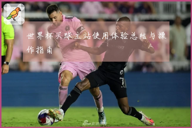 世界杯买球主站使用体验总结与操作指南