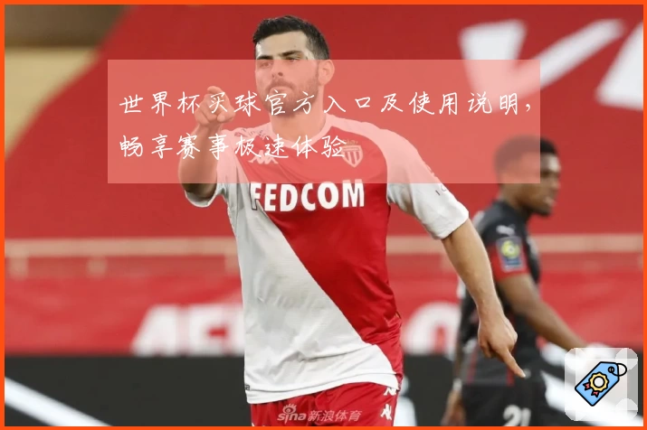 世界杯买球官方入口及使用说明，畅享赛事极速体验