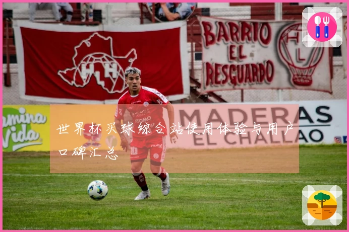 世界杯买球综合站使用体验与用户口碑汇总