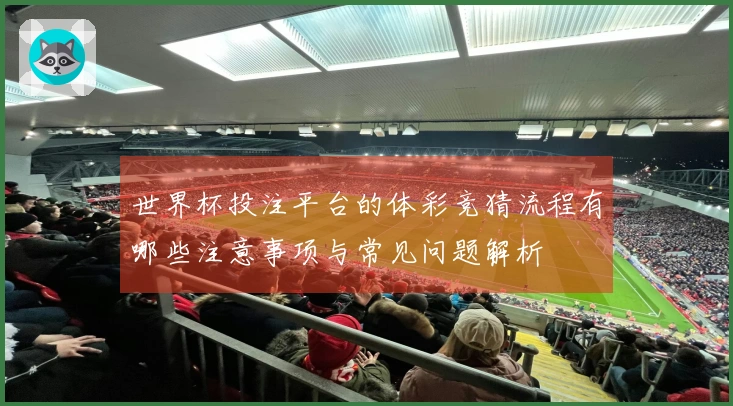 世界杯投注平台的体彩竞猜流程有哪些注意事项与常见问题解析