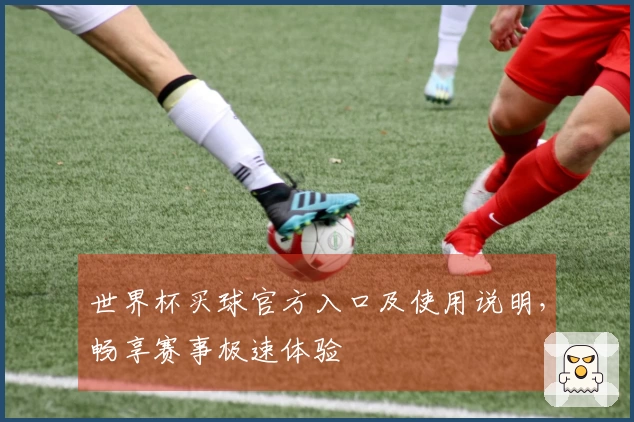 世界杯买球官方入口及使用说明，畅享赛事极速体验