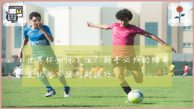 世界杯如何下注？新手必知的赔率变化与市场判断技巧