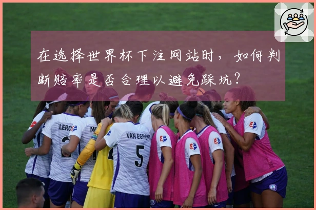 在选择世界杯下注网站时，如何判断赔率是否合理以避免踩坑？