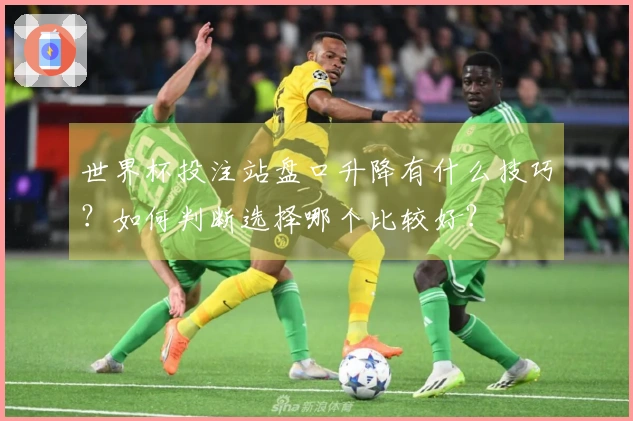 世界杯投注站盘口升降有什么技巧?如何判断选择哪个比较好?