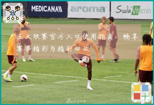 五大联赛官方入口使用指南，畅享赛事精彩与精彩回放